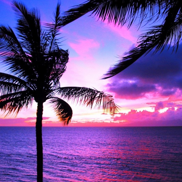 Meet 💕hawaii_aloha💕 - Picture 4 of 6